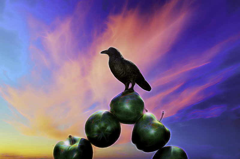 353 Raven Twilight .jpg