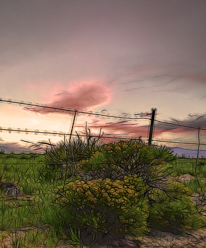 355 Rustic Dawn copy.jpg
