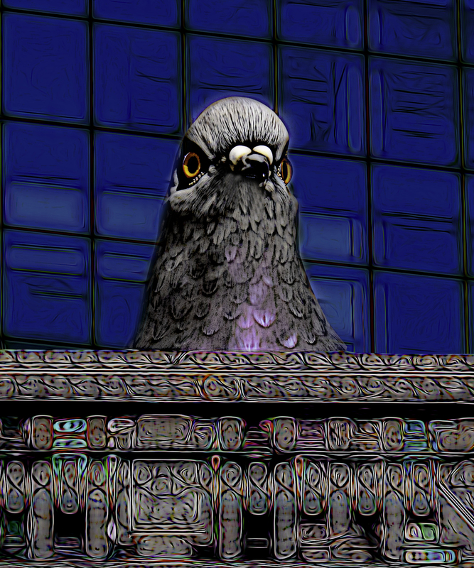 375 Peekaboo copy.jpg