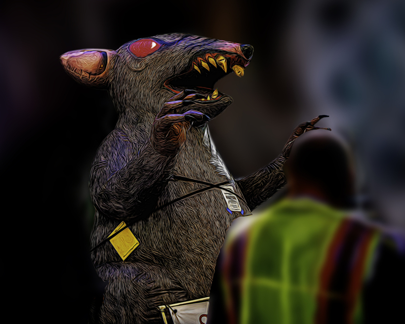 377 Rat copy.jpg