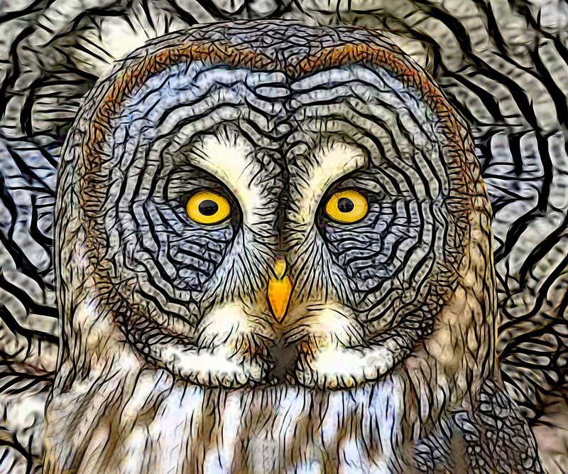 384 Phantom Eyes.jpg