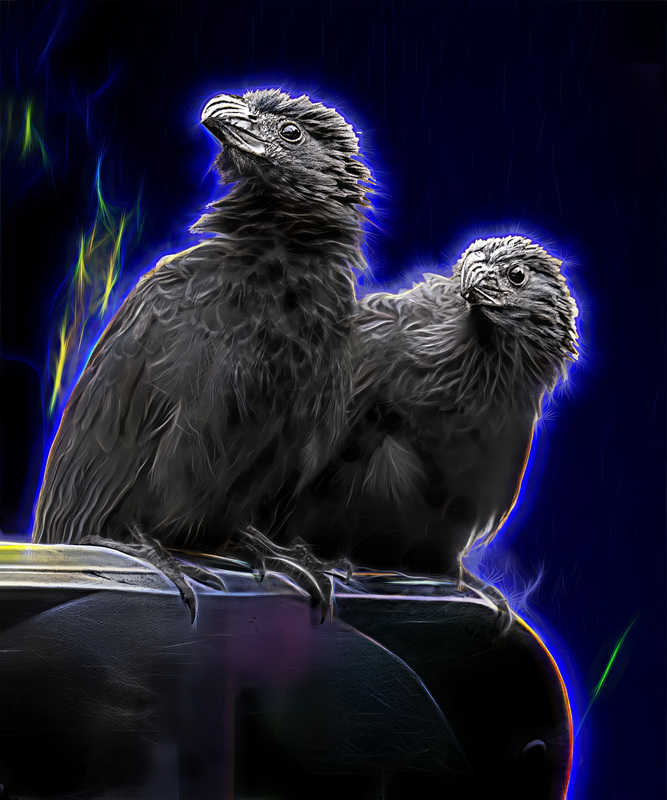 415 Watching You copy.jpg