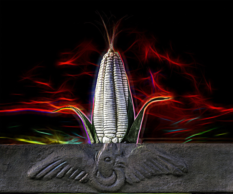 417 Corn copy.jpg