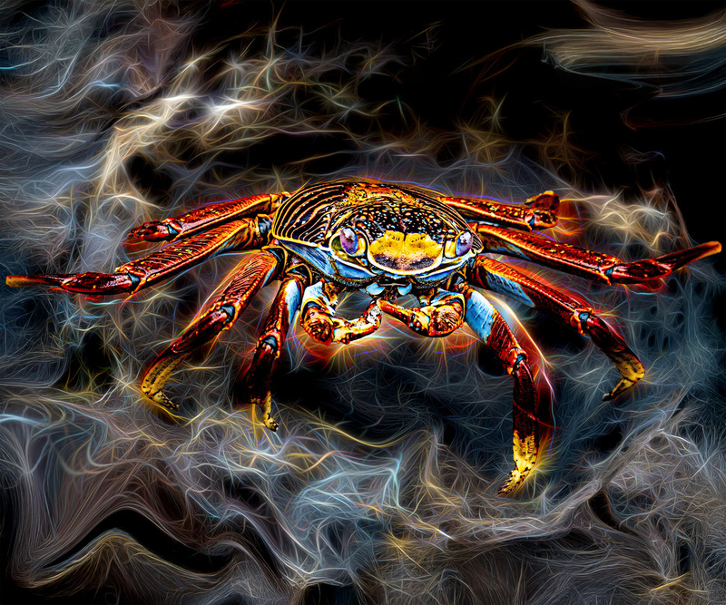 418 Alian Crab.jpg