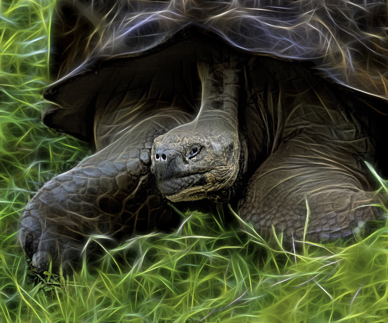 428 Jonathan copy.jpg