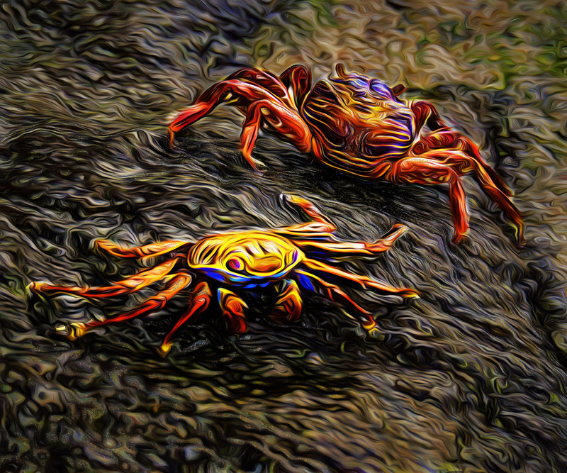 431 Politics copy.jpg