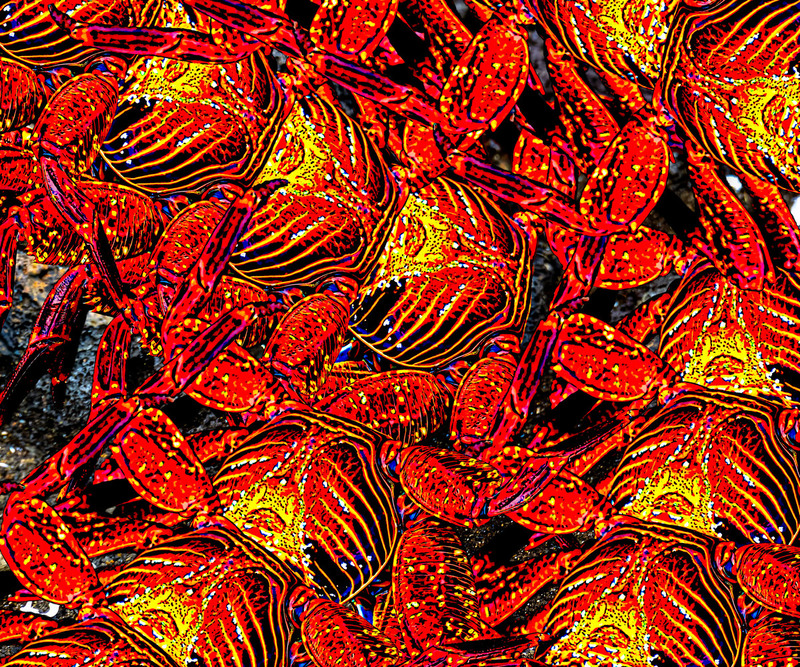 434 Crab Party copy.jpg