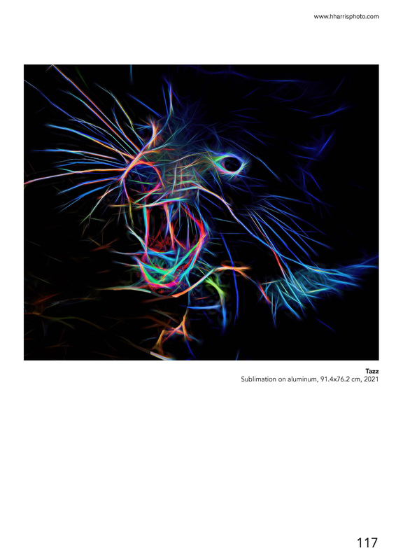 50 Artists to Watch 2023 - Howard Harris_Page_4.jpg