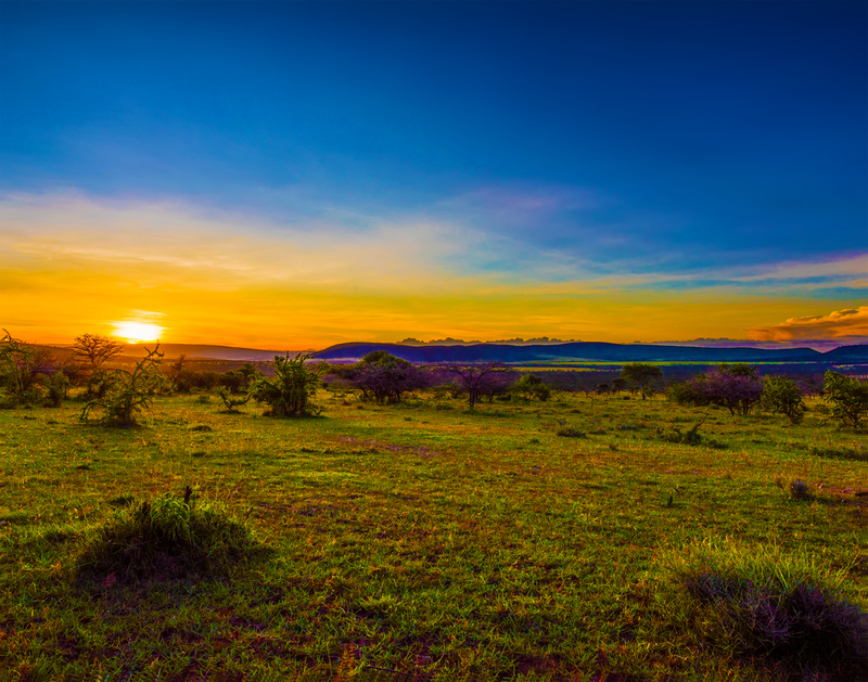 66 Serengeti Sunset(1).jpg :: 66 Serengeti Sunset
