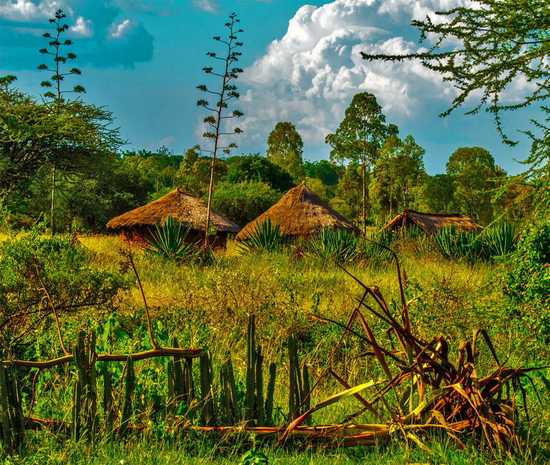 71 Serengeti Huts(1).jpg :: 71 Serengeti Huts