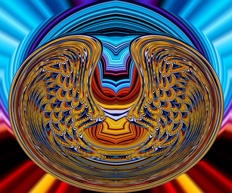 85 Feather Dream copy.jpg :: 85 Feather Dream