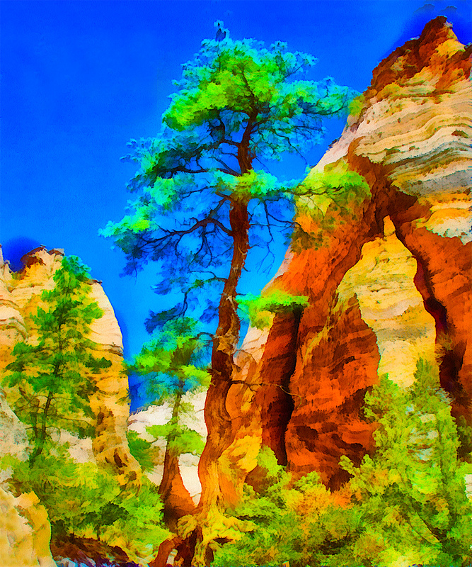 9 Tent Rocks Tree(1).jpg :: 9 Tent Rocks Tree