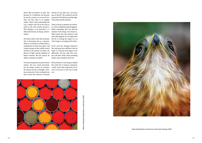 Art Celebrity Page 14-15.jpg