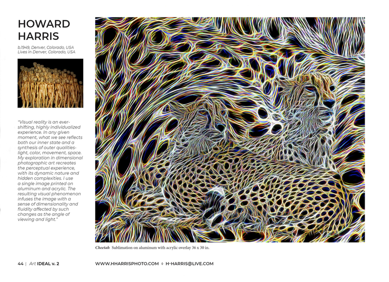 Art Ideal V2 Circle Foundation Magazine HH Page.jpg