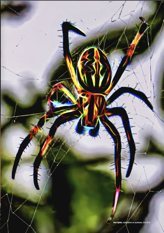 ArtTour Spider(1).jpg