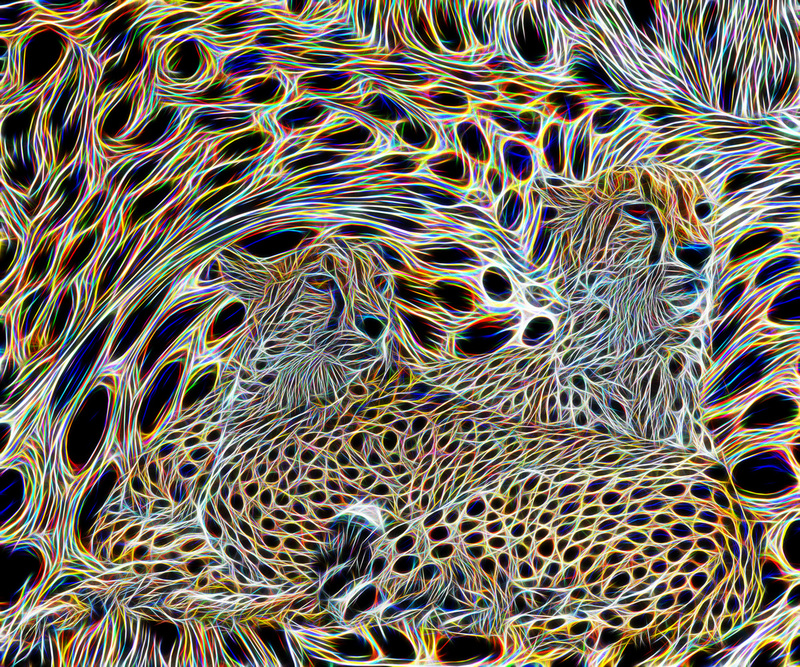 Cheetah 9144x762 Sublimation on aluminum 5000.jpg