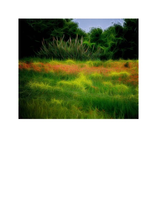 Contemporary Art Curator Magazine - March 2022_Page_11.jpg