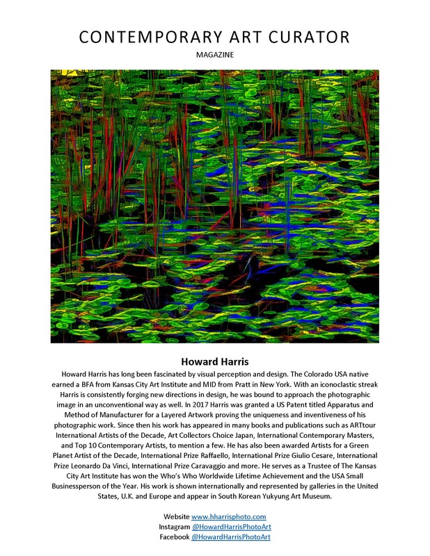 Contemporary Art Curator Magazine River of Dreams June 14-October 12 2021Show_Page_1.jpg