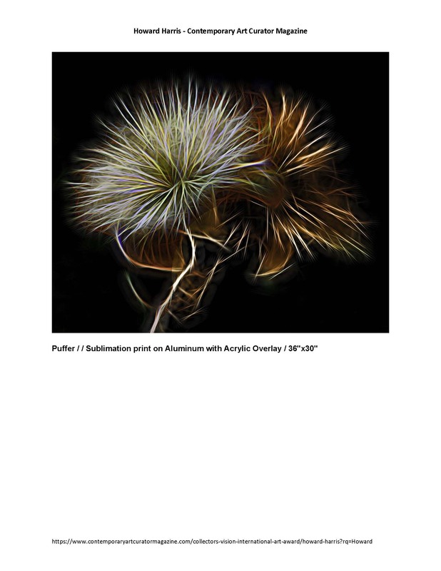 Contemporary Art Curator Mazine Collectors vision International May 2021_Page_5.jpg
