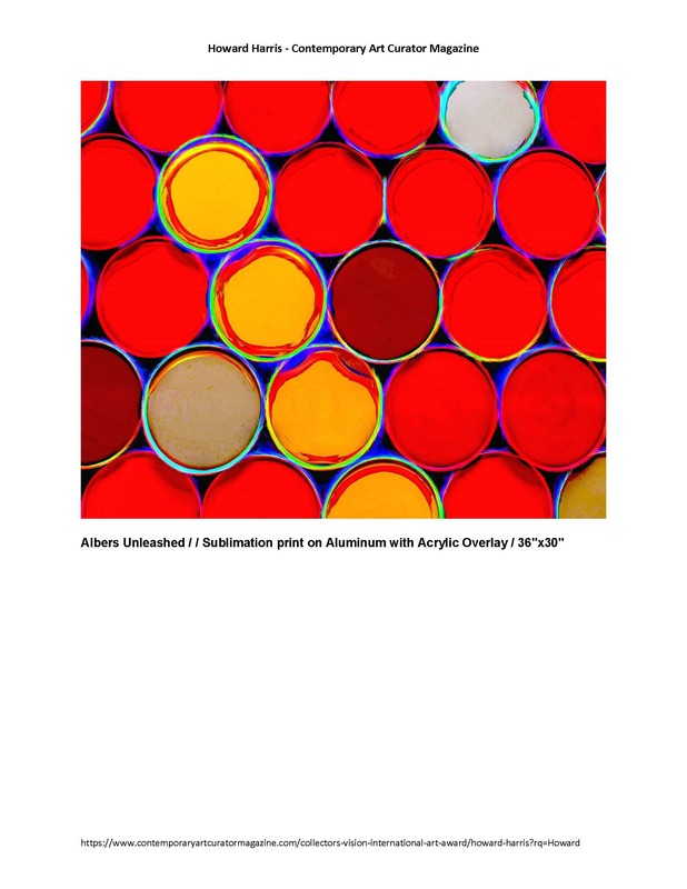 Contemporary Art Curator Mazine Collectors vision International May 2021_Page_7.jpg