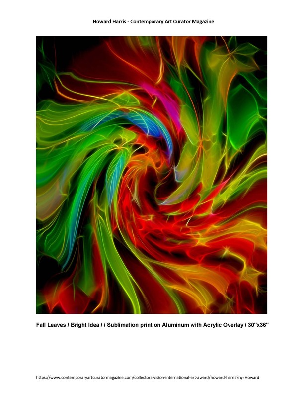 Contemporary Art Curator Mazine Collectors vision International May 2021_Page_9.jpg