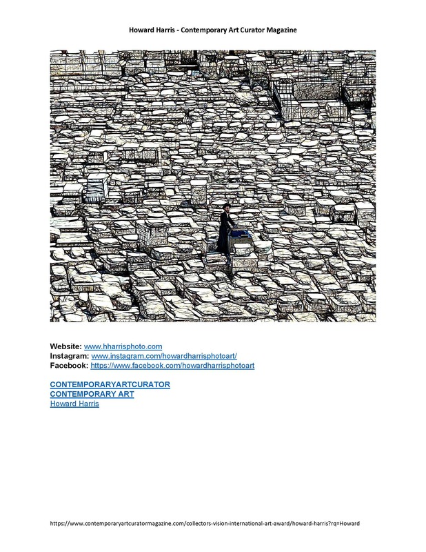 Contemporary Art Curator Mazine Infinate Dreams_Page_11.jpg