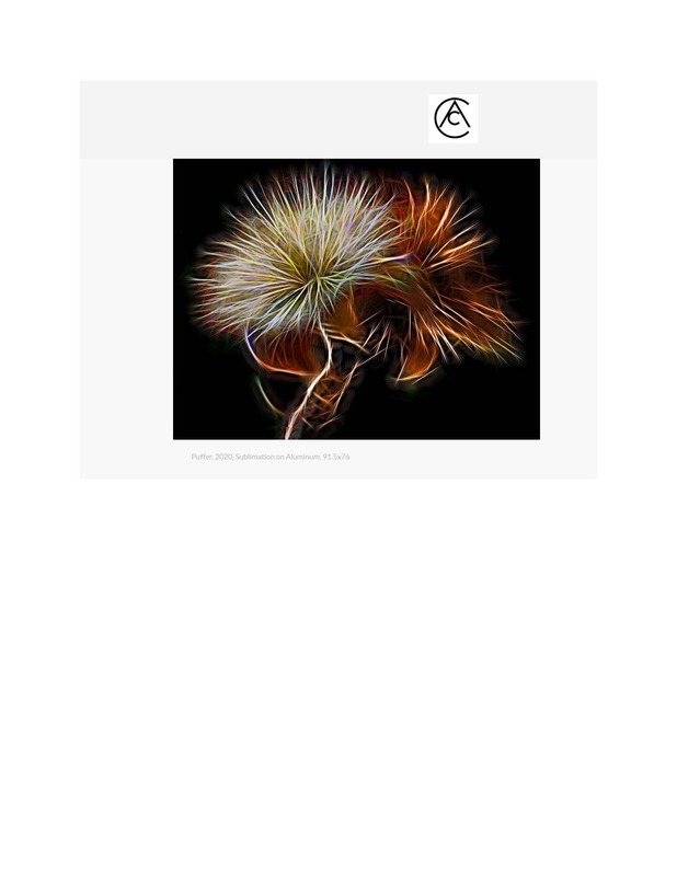 Contemporary Art curator Magazine Artist Spotlight_Page_08.jpg