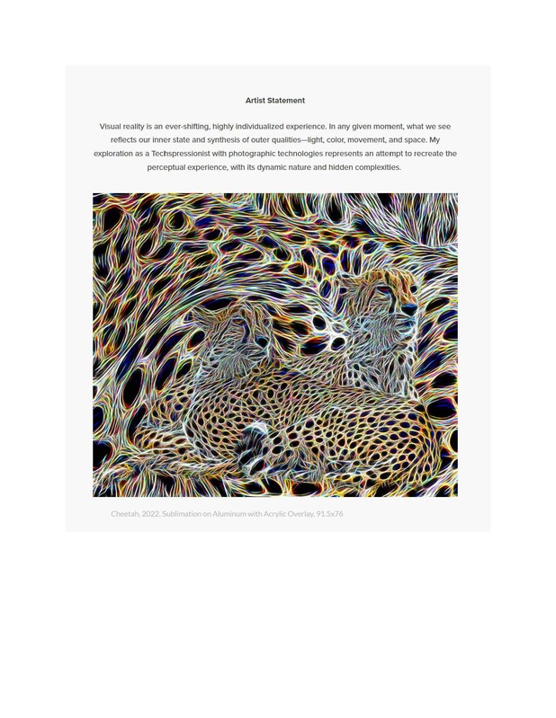 Contemporary Art curator Magazine Artist Spotlight_Page_09.jpg