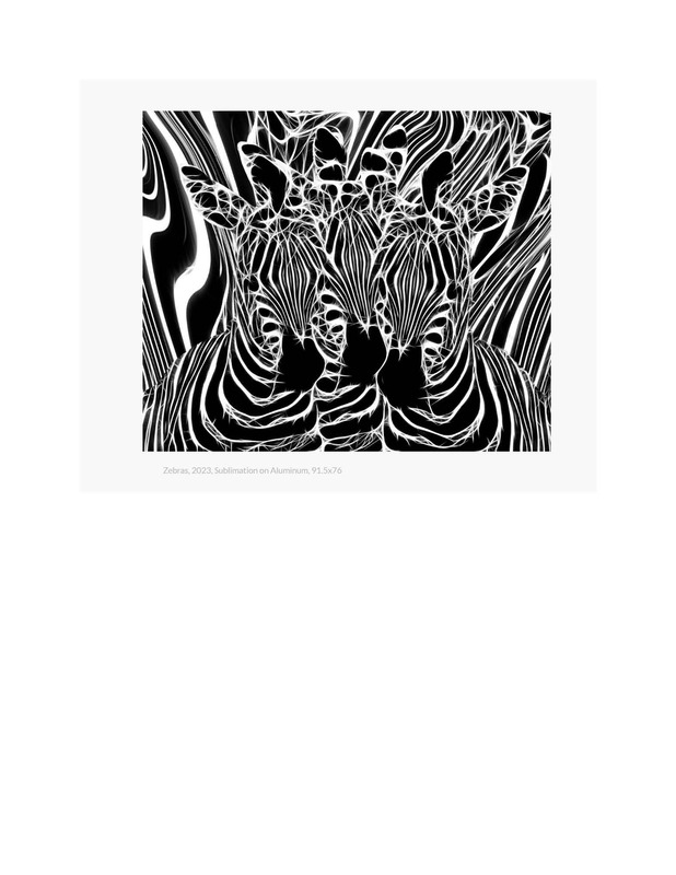 Contemporary Art curator Magazine Artist Spotlight_Page_12.jpg