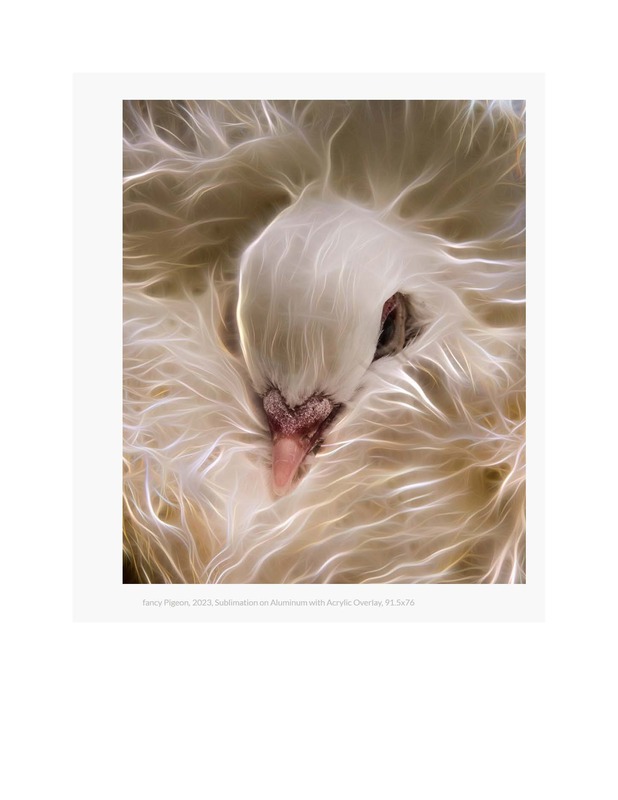 Contemporary Art curator Magazine Artist Spotlight_Page_13.jpg
