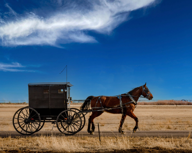 DSC_3607-Edit.jpg :: A Sunday Drive