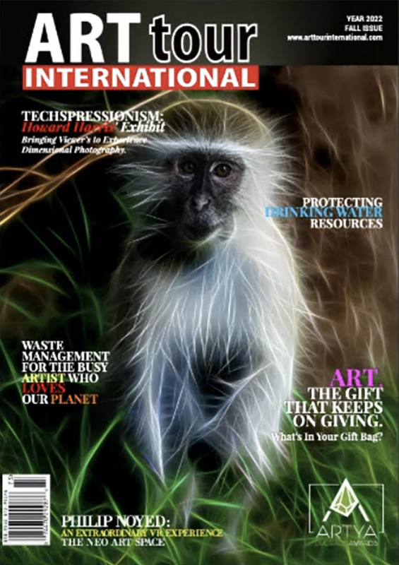 Emerald Award Cover.jpg
