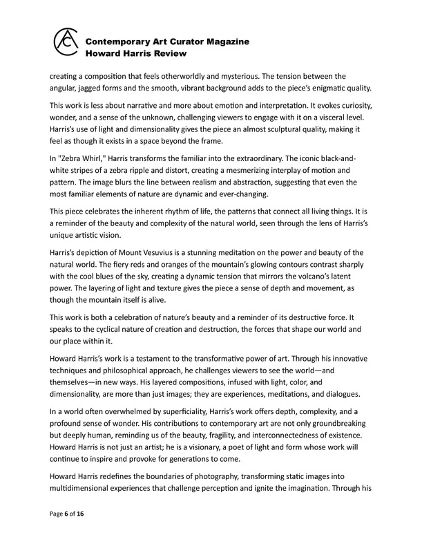 Howard Harris  Contemporary Art Curator Magazine_Page_06.jpg