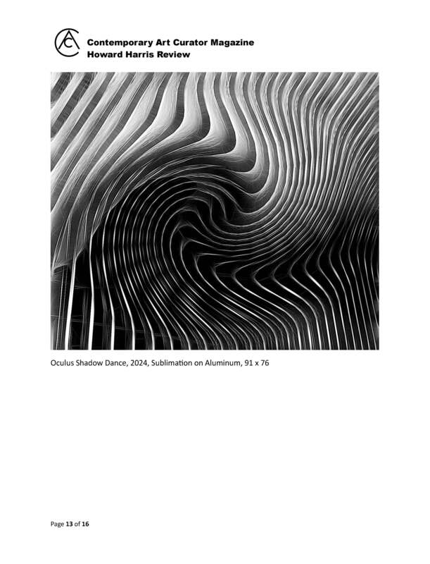 Howard Harris  Contemporary Art Curator Magazine_Page_13.jpg
