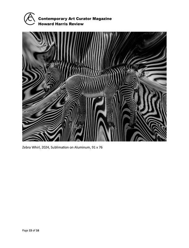 Howard Harris  Contemporary Art Curator Magazine_Page_15.jpg