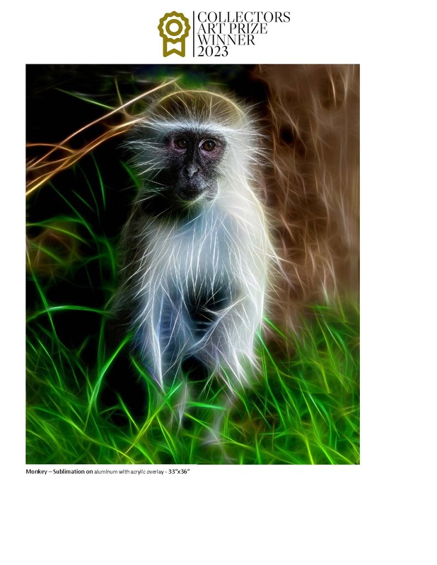 Howard Harris Contemporary Art Curator Magazine March Interview_Page_08.jpg
