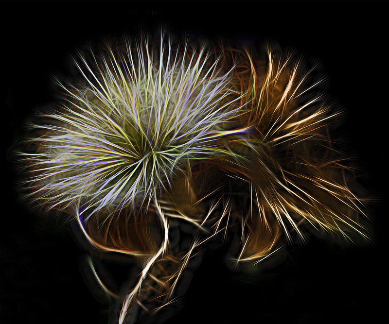Howard Harris Puffer Sublimation on aluminum 36x30.jpg