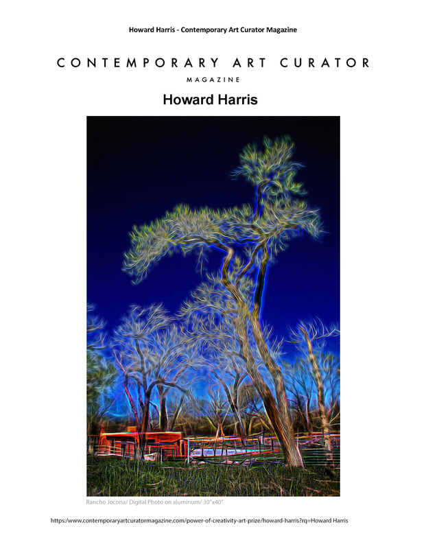 Page 10 Contemporary Art Curator Mazine Power of Creativity Art Prize copy.jpg