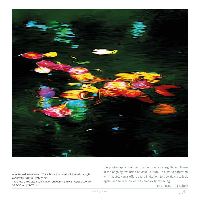 Page 10 Howard Harris-Amazing Artists Pages copy.jpg