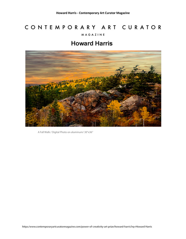 Page 6 Contemporary Art Curator Mazine Power of Creativity Art Prize copy.jpg