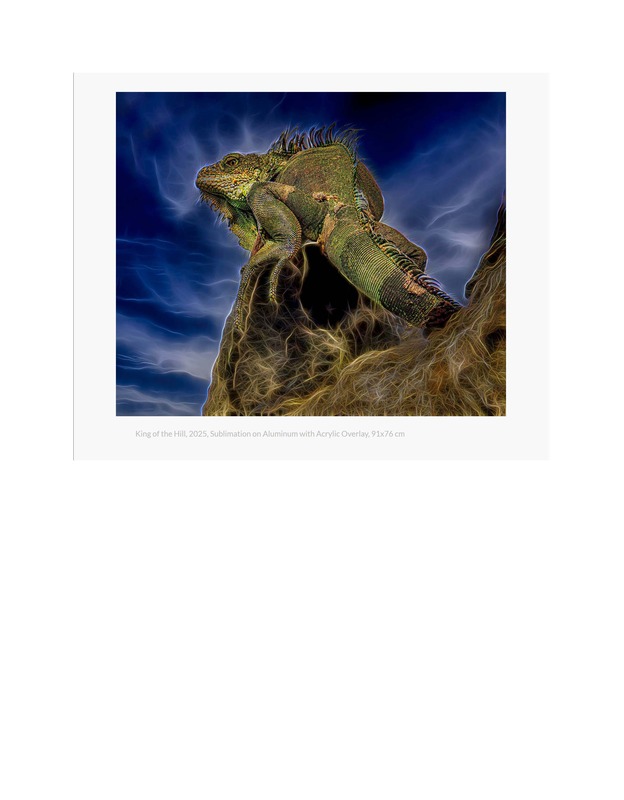 Spotlight Pages_Page_11.jpg