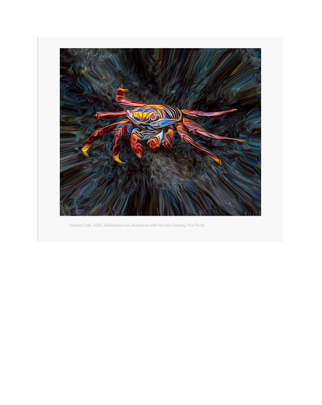 Spotlight Pages_Page_13.jpg