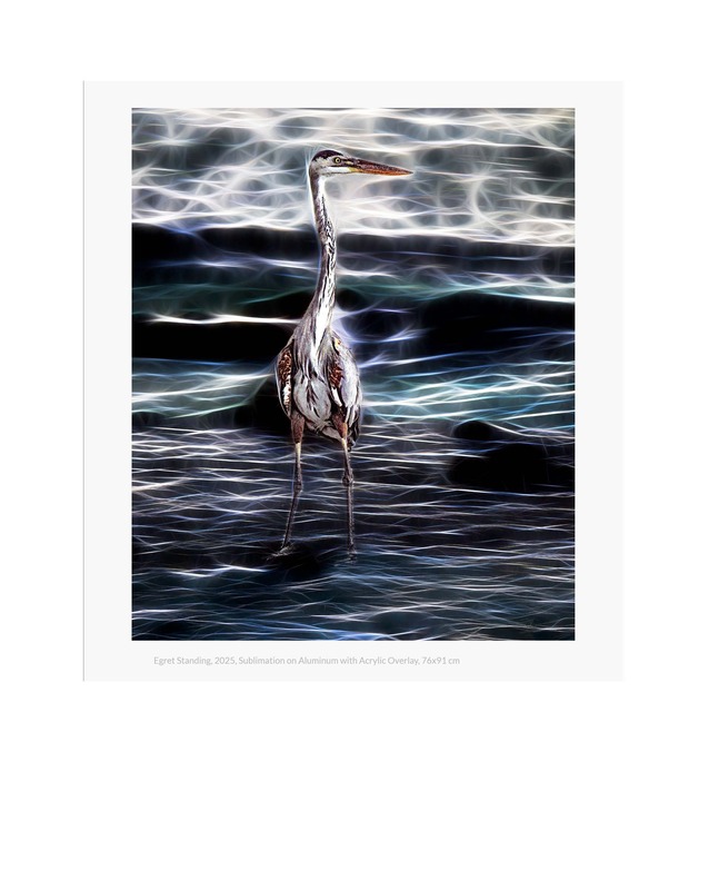 Spotlight Pages_Page_14.jpg