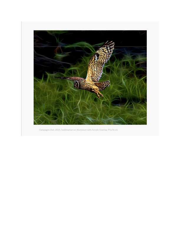 Spotlight Pages_Page_15.jpg