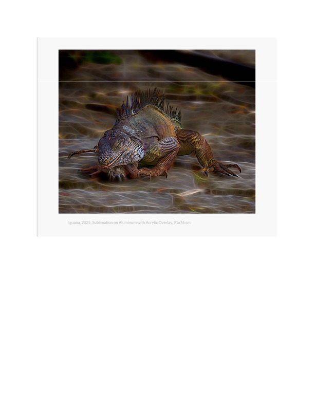 Spotlight Pages_Page_16.jpg