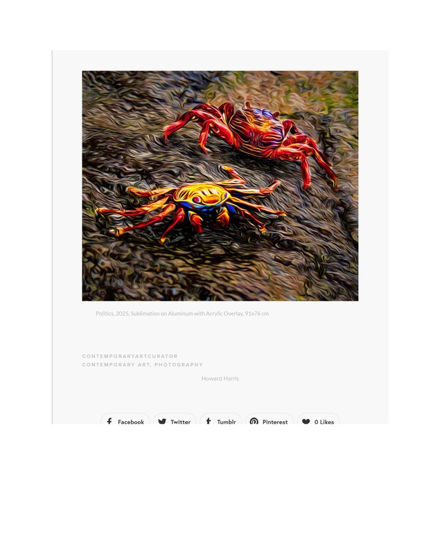 Spotlight Pages_Page_17.jpg