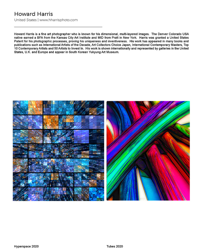 TRENDS IN ART INSIGHTS FOR COLLECTORS Hardcover  1 May 2021 Page 1.jpg