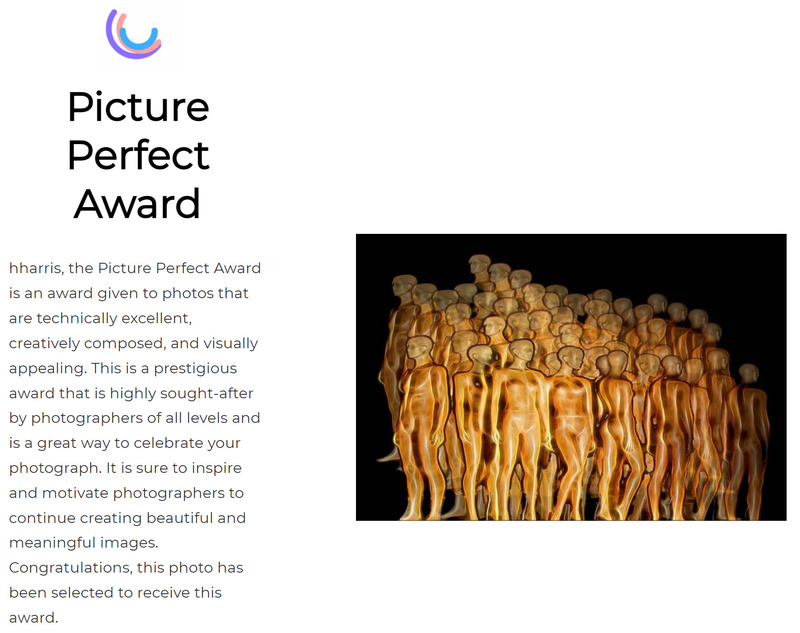 Viewbug Picture Perfect Award.jpg