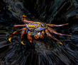 420 Cosmic Crab copy(2).jpg