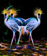 456 Crowned Cranes copy.jpg